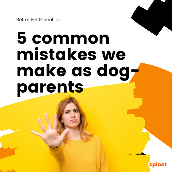 5 Mistakes Dog Parents Make - And How To Correct Them!