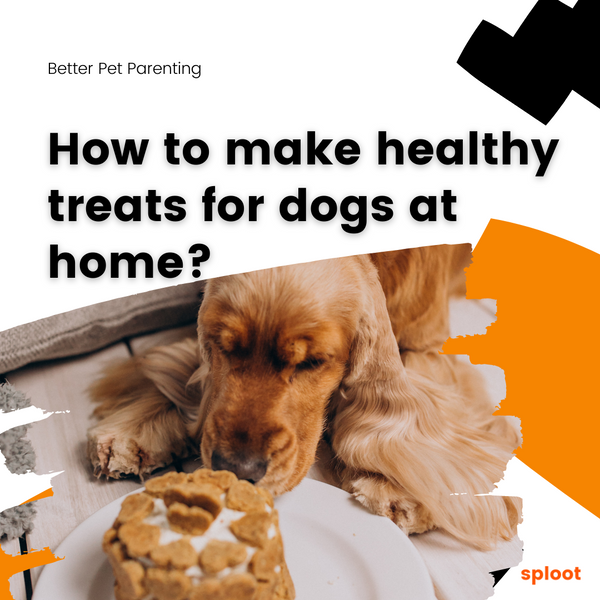 How to make healthy treats for dogs at home?