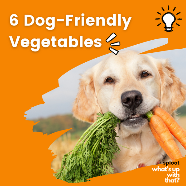 SIX VEGETABLES YOUR DOG WILL LOVE