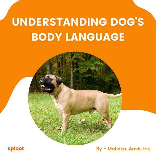 Understanding Dog's Body Language
