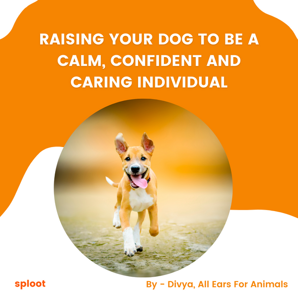 Raising your dog to be a calm, confident and caring individual