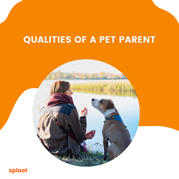 How to become a good pet parent
