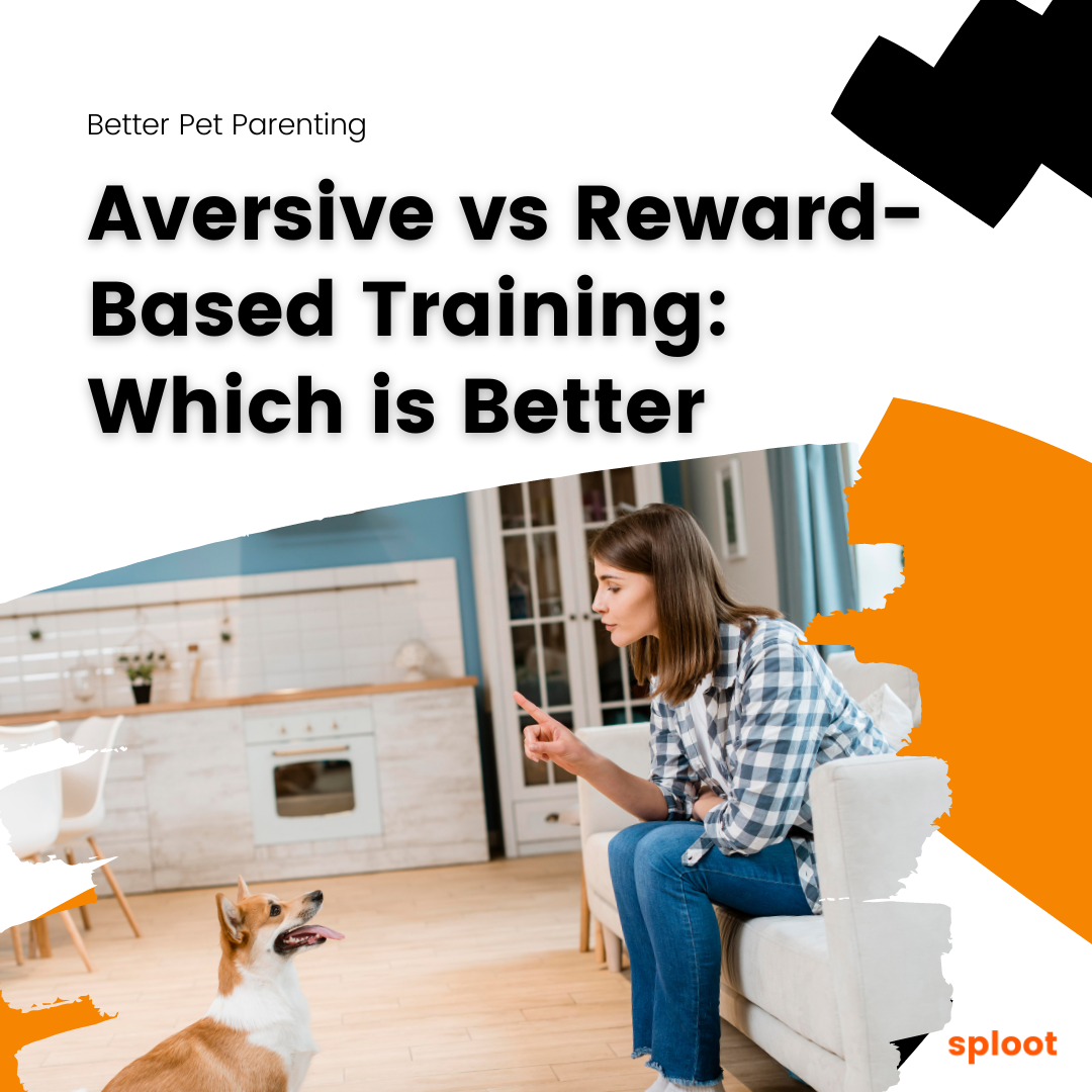 aversive-vs-reward-based-training-which-is-better-for-your-dog